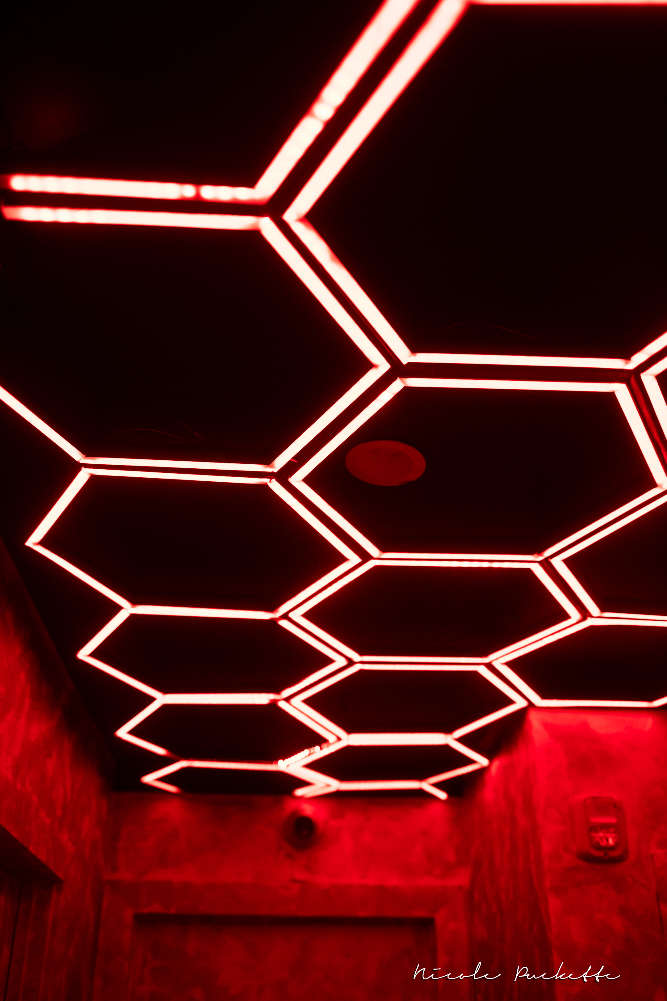 Honeycomb lighting detail at Partake NYC